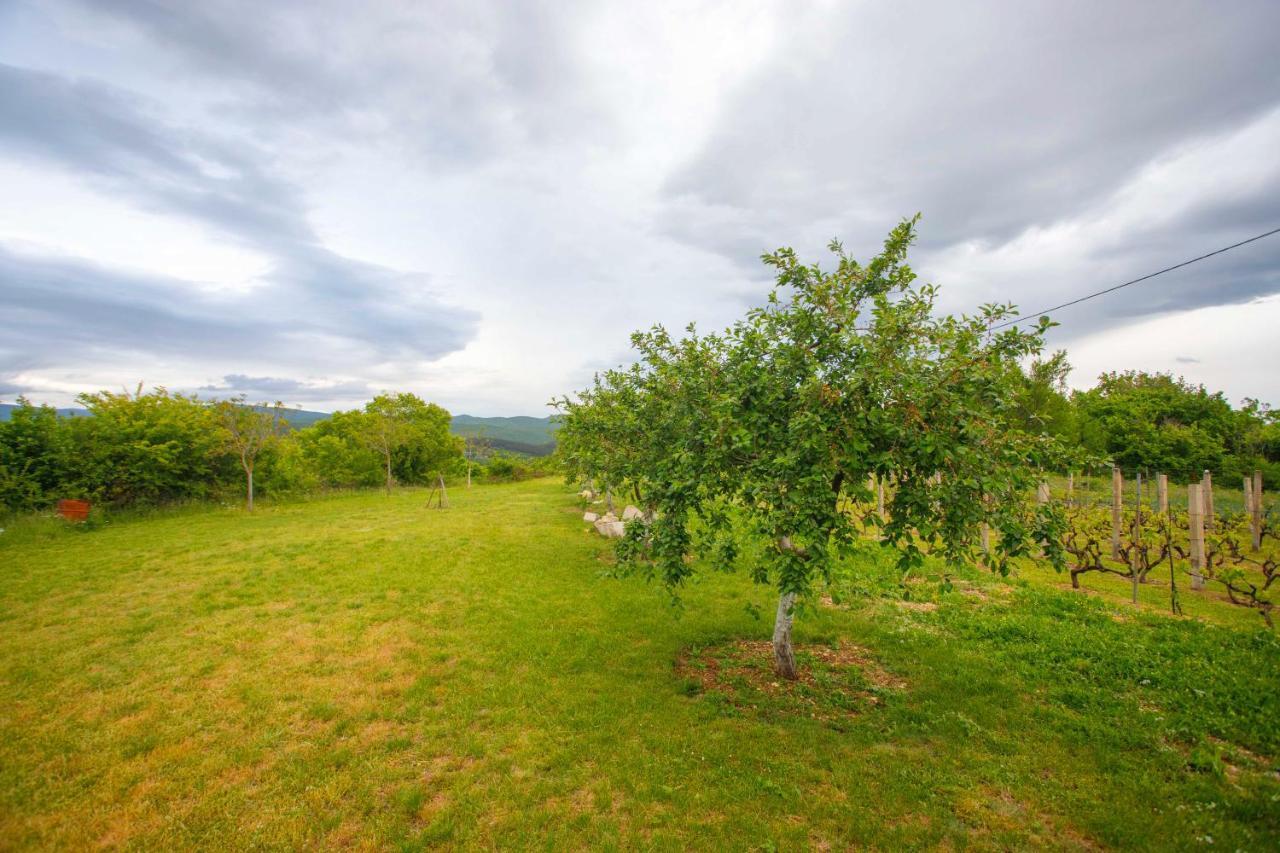 Willa Casa Di Oliva-House With Heated Pool & Jacuzzi In Trilj, Croatia Zewnętrze zdjęcie